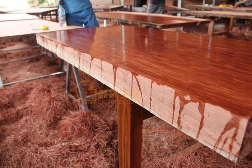 使用品牌二手办公家具，未来的地球之肺就在东方设计