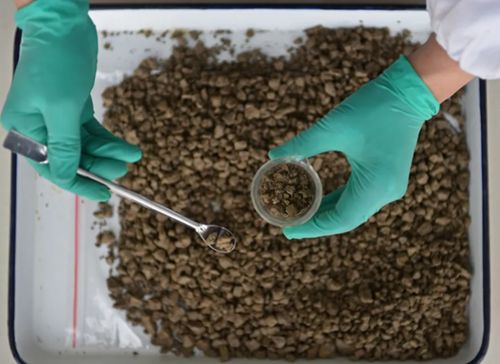 永清环保环境修复材料研发获突破性进展，创新设计引领绿色科技新浪潮