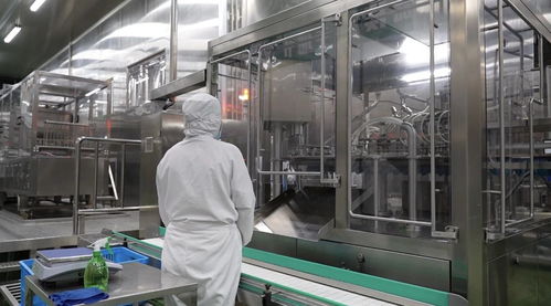 湾区食谷，金山智造 打造长三角一体化下的农业科创高地