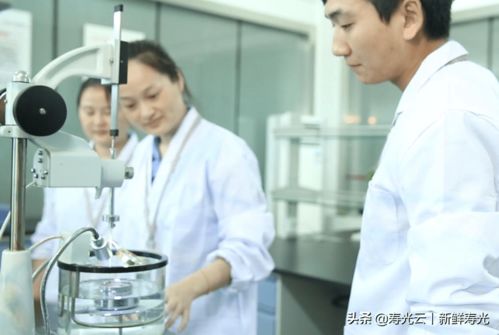 宏源防水 创新赋能，谱写绿色建筑新篇章